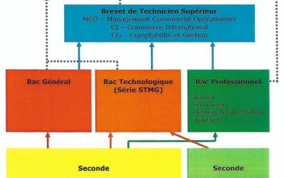 Carte des formations au lycée Europe, rentrée 2019