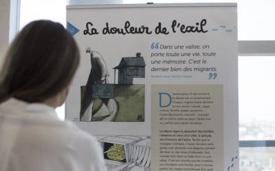 Les expos du CDI