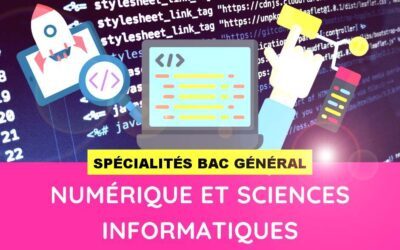 Ouverture de la spécialité N.S.I. à la rentrée 2023